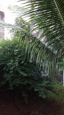 Casa Livre Em São Caetano - Foto 17