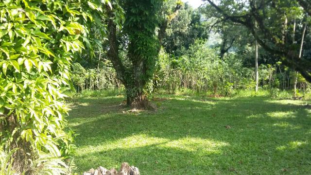 Lindo sítio em Guapimirim - Limoeiro oportunidade!!! - Foto 2