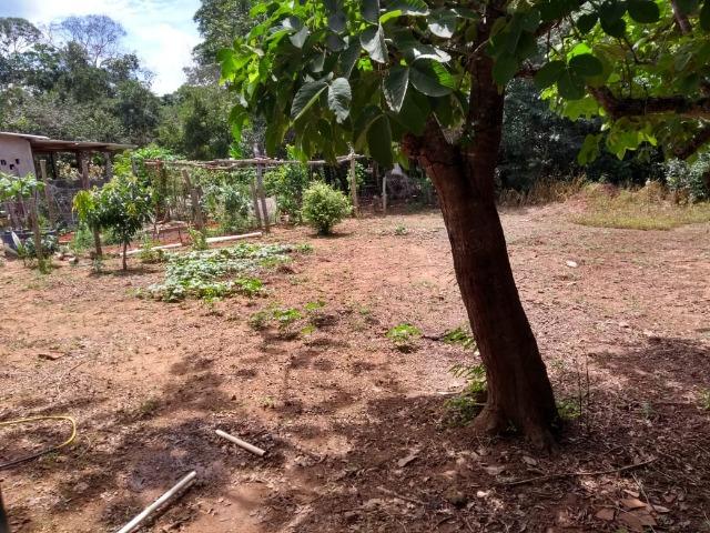 Chácara na beira do Rio Pirapitinga - Negócio de Oportunidade! - Foto 15