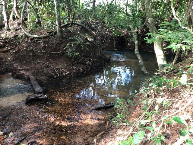 290 Hectares, Bom Jardim-MT, pecuária e lavoura, Oportunidade - Foto 2