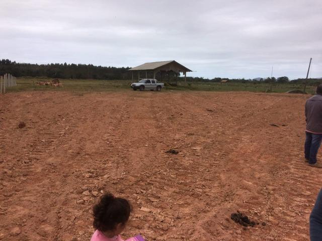 Terreno Plano Lindo Demais para Montar sua Chácara - Foto 4