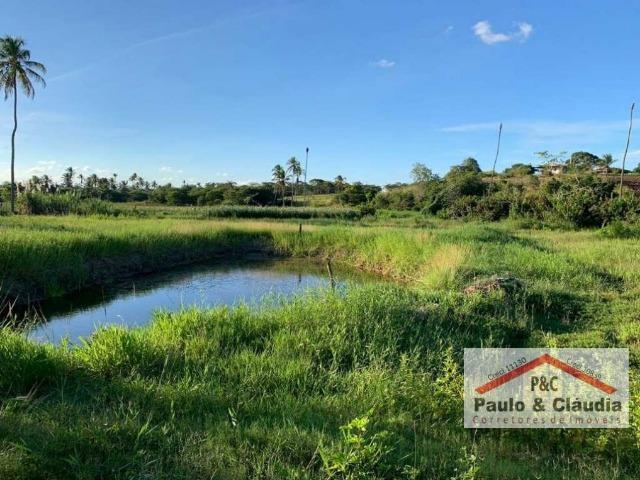 Ótima propriedade em Glória do Goitá, com 1,5 hectare - Foto 17