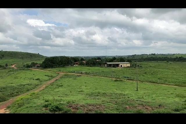 Vendo fazenda 300 alqueires (Margeando o Asfalto) - Foto 7
