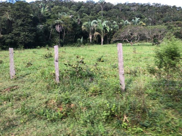 120 alqueires, pecuária e parte lavoura Bom Jardim-MT - Foto 3
