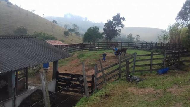 Sitio 10 alqueires margem rio paraíba local sem poluição estuda permuta até 50% vlr - Foto 15