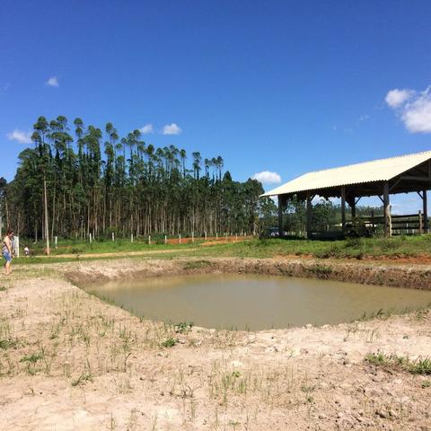 Terreno Plano Lindo Demais para Montar sua Chácara