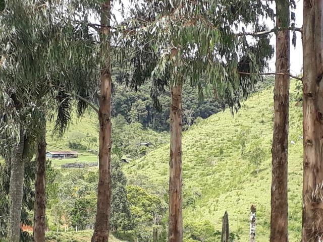 Aceita troca - Foto 4