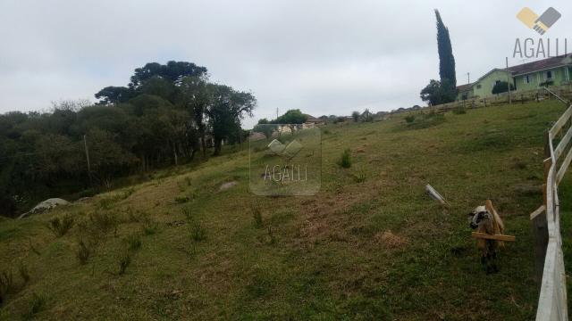 Chácara à venda com 4 dormitórios em Zona rural, Contenda cod:219-16 - Foto 3