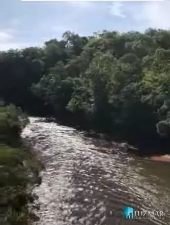 FAZENDA EM LIZARDA PRÓXIMO A MANSINHA TOCANTINS 349 ALQUEIRES/1691 HECTARES - Foto 3