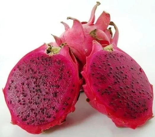 Mudas de Pitaya Vermelha Polpa Branca ou Vermelha - Guarulhos - Foto 4