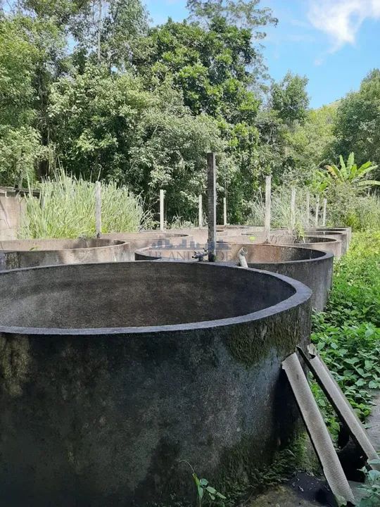 Vargem Pequena | Sítio - Foto 10