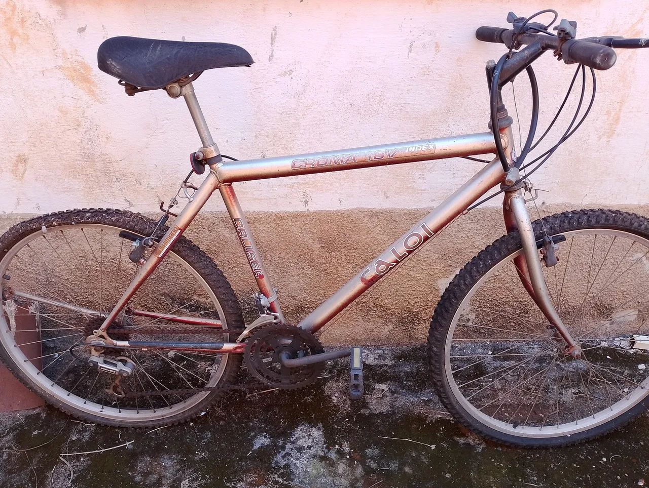 Bicicleta Masculina 