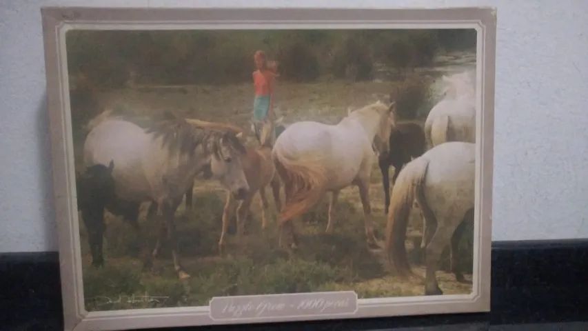 Quebra Cabeça desapego - Foto 3