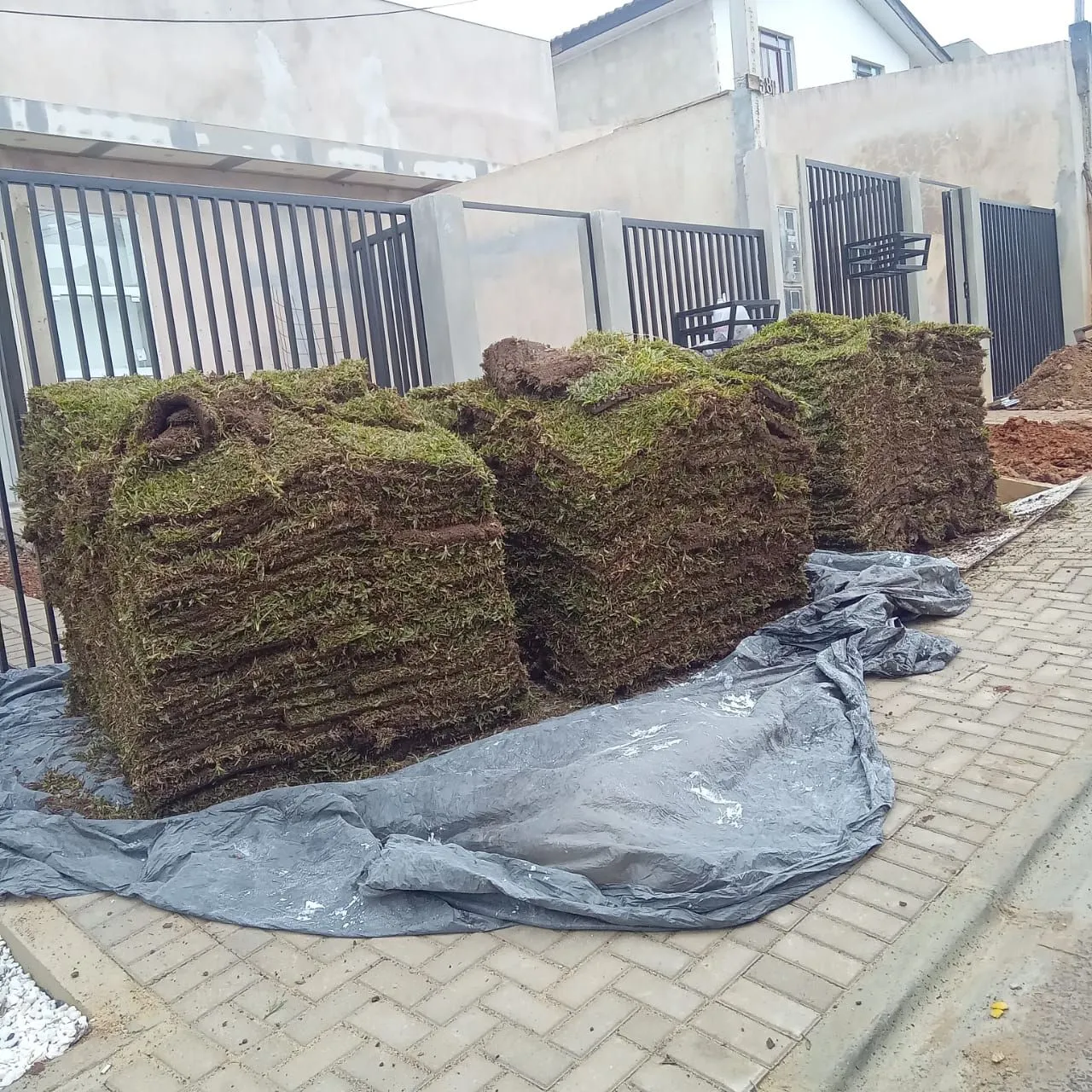 Tapete de grama para jardim.