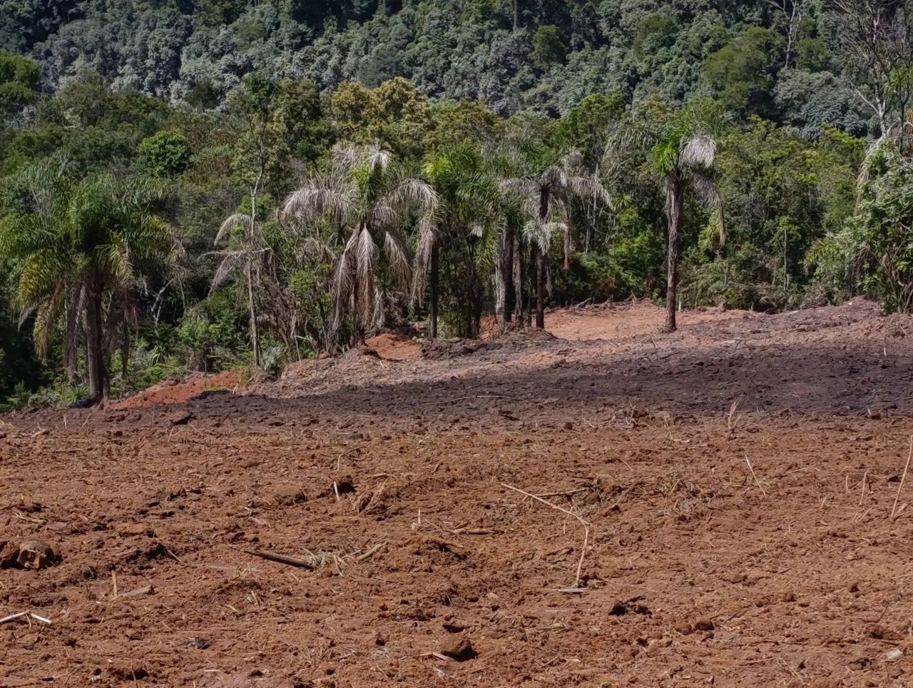 VENDO Lindo Terreno com 4000 m² - Bateias / Campo Largo - Foto 3