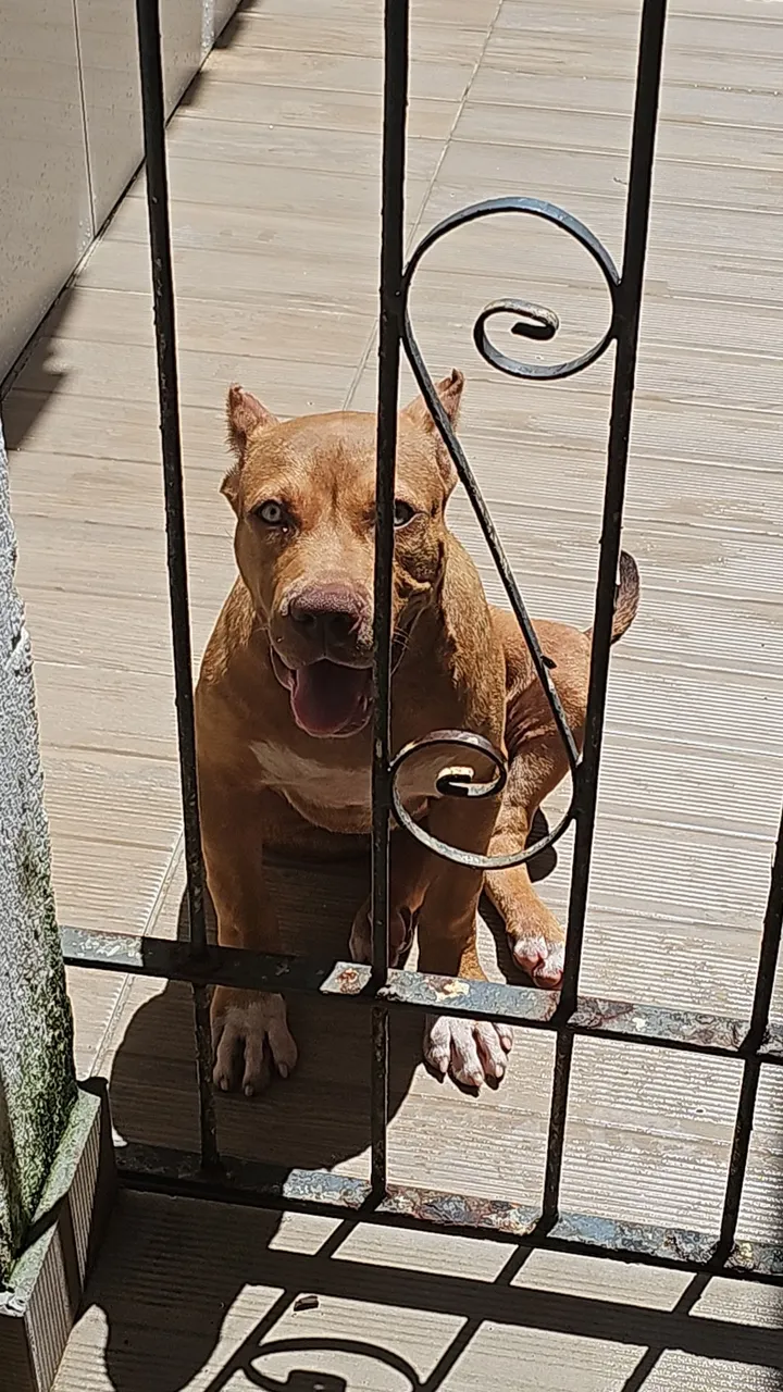 Pit monster 