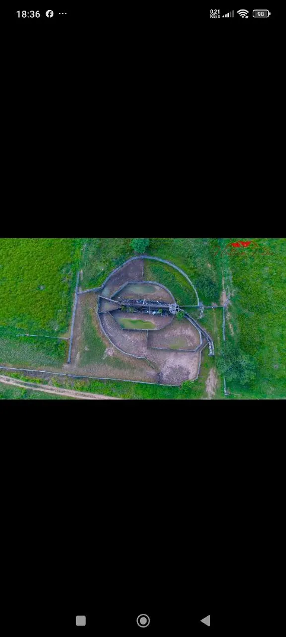 Fazenda 1.90 alqueires em novo progresso, 500 alq abertos. 25 milhões.
