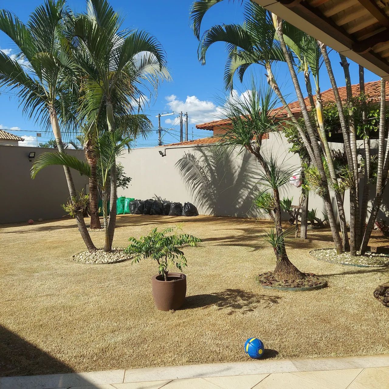 Poda de arvores e jardinagem  - Foto 2