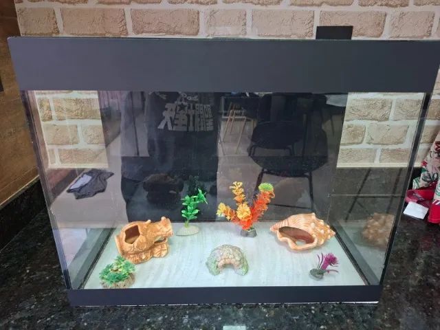 Aquário 50 litros com decoração e redinha
