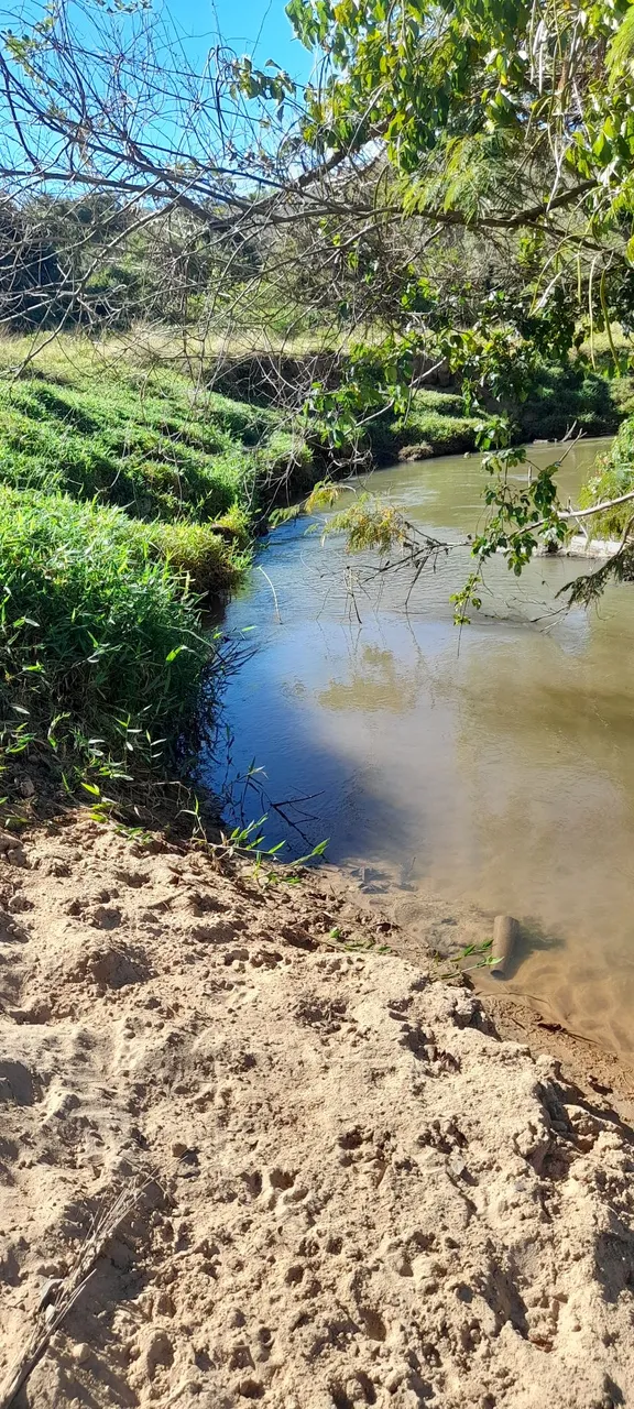Chácara 20.000mts (Ribeirão )