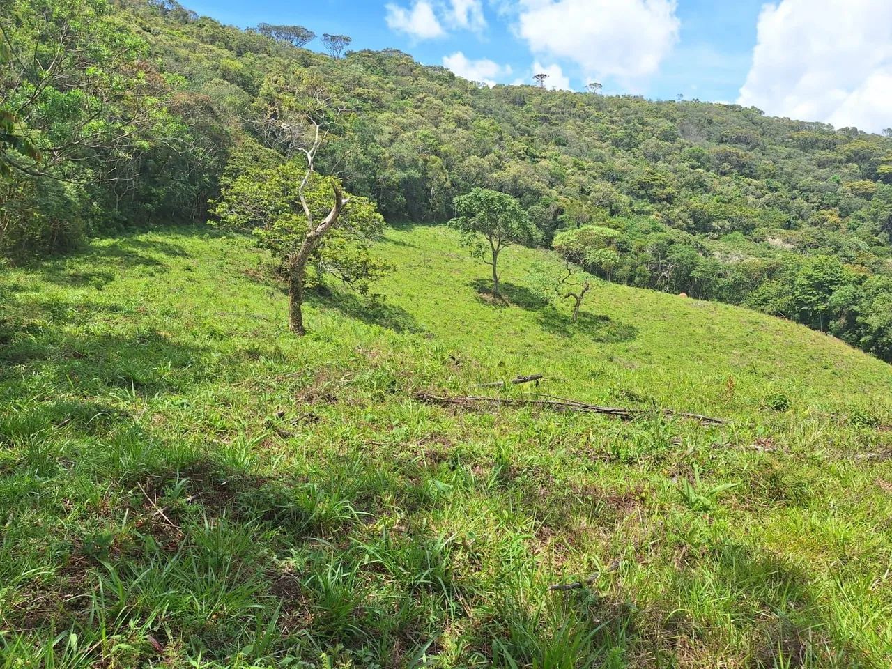 Terreno 40.000m², Delfim Moreira /MG - Foto 9