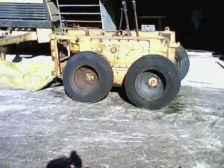 Bobcat