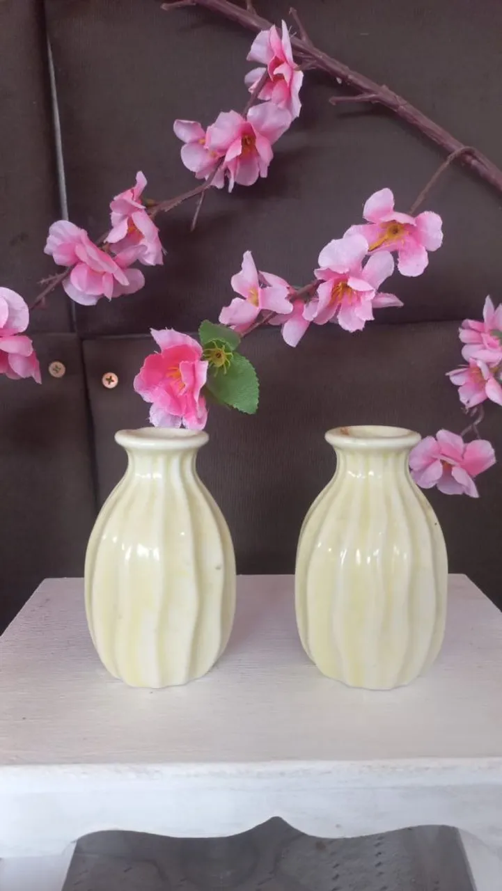 Dupla de Vasos Decorativos vintage em porcelana.