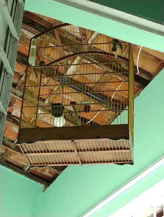 Vendo essa gaiola  - Foto 2