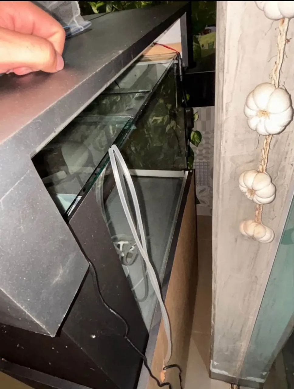 Aquário completo  - Foto 2