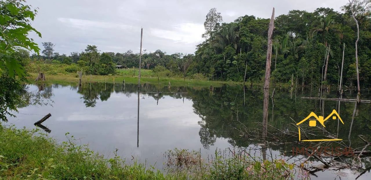 (Vende-se) Fazenda com 6130000 m² por R$ 5.526.000,00 - Centro - Canutama/AM - Foto 2