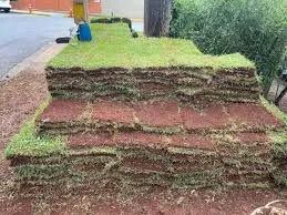 Grama esmeralda 6m2 mais frete mínimo pra entrega 100 mts Direto de Itapetininga  - Foto 4