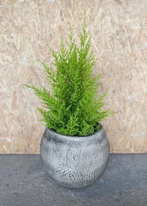 Vaso Bola em Cimento Pequeno - Foto 2