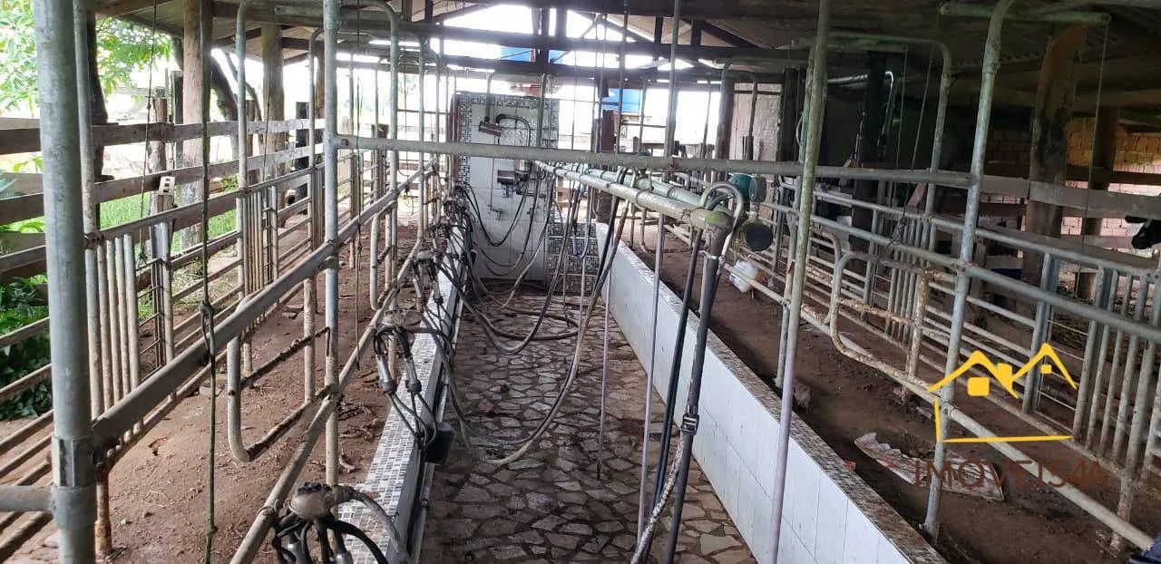 (Vende-se) Fazenda com 6130000 m² por R$ 5.526.000,00 - Centro - Canutama/AM - Foto 5