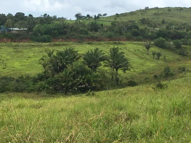 D290 Excelente Fazenda com 40 hectares em Maceió