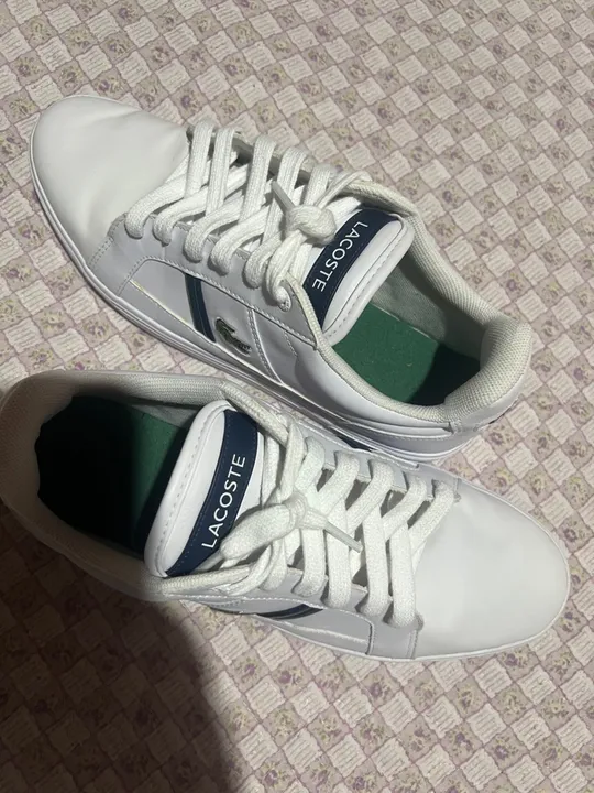 Sapatênis Lacoste original semi novo 