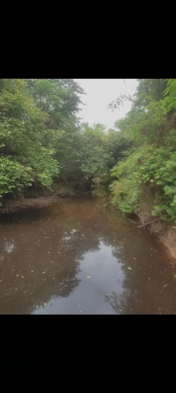 Chácaras apenas 14 km de montes Claros  - Foto 4