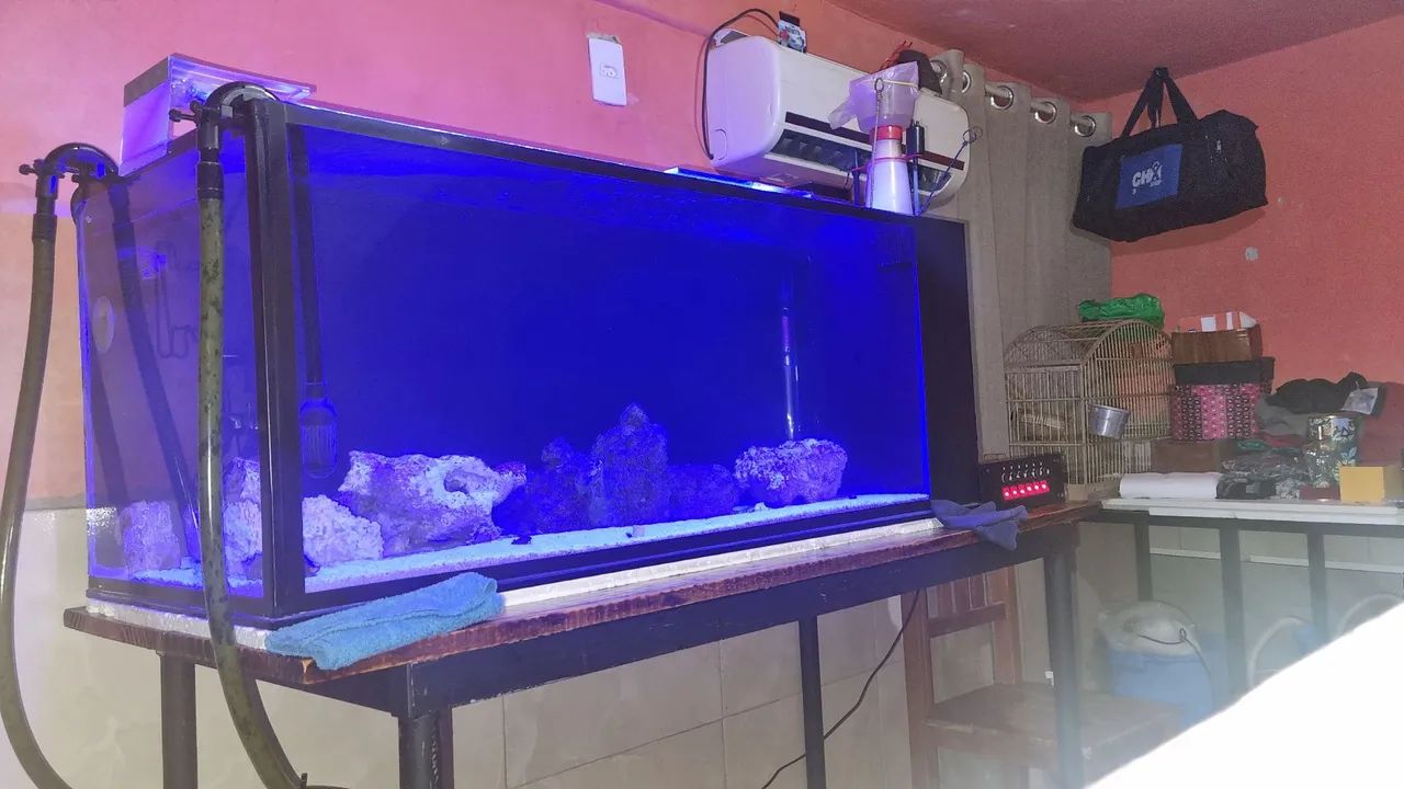 Aquarium63824596914689123