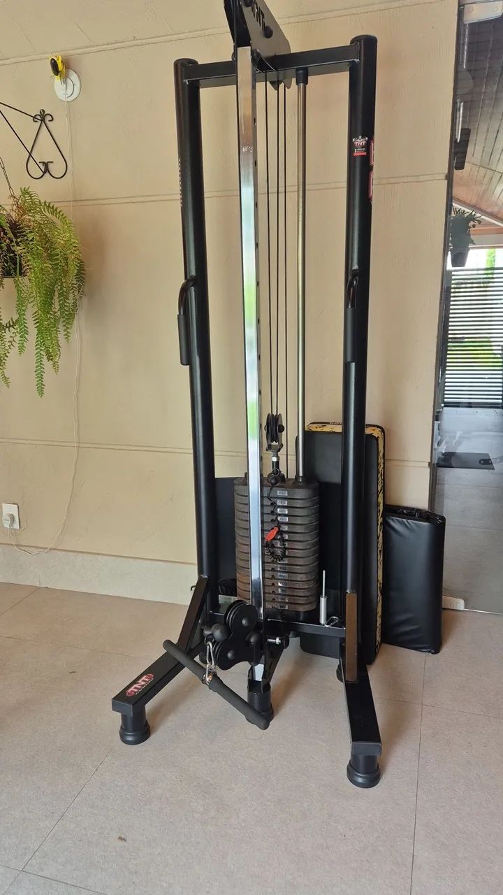 Polia mono64293892221826120