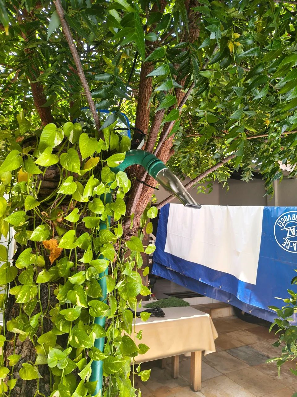 Picina c/ motor de filtro de área intex - Foto 5