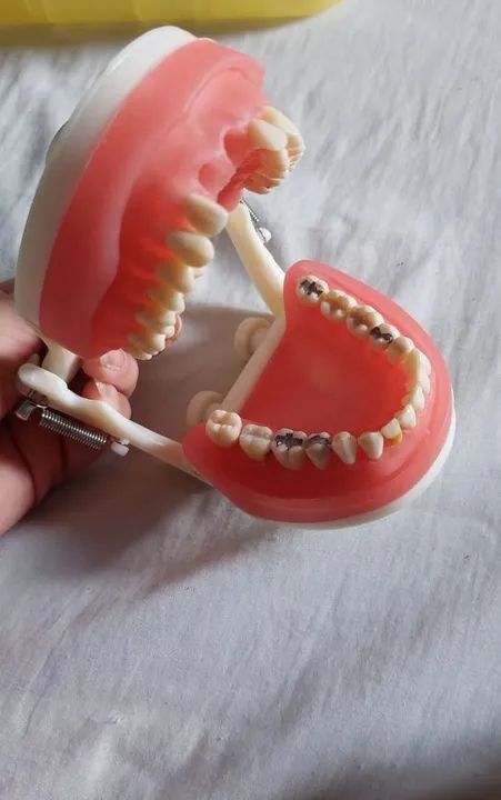 MANEQUIM DENTÍSTICA PRONEW.  - Foto 3