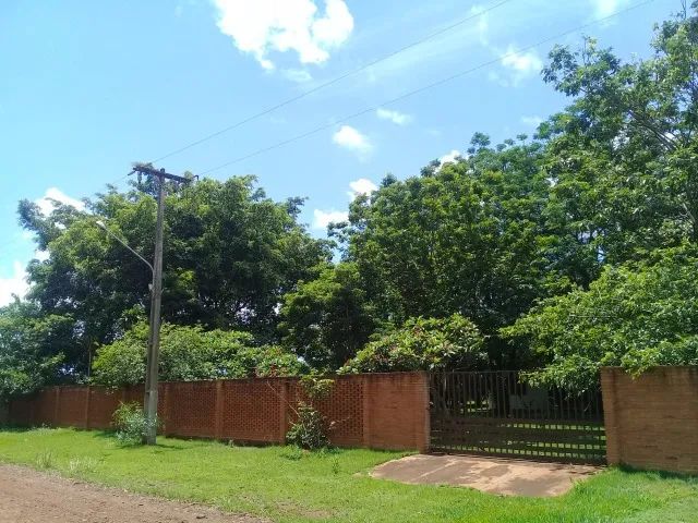 Chácara 10 hectares em C.Grande - ARRENDAMENTO - Foto 3