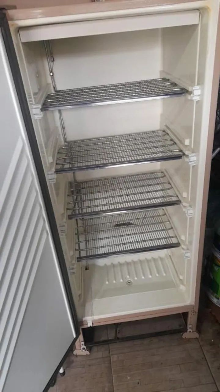 Geladeira Frost Freezer 