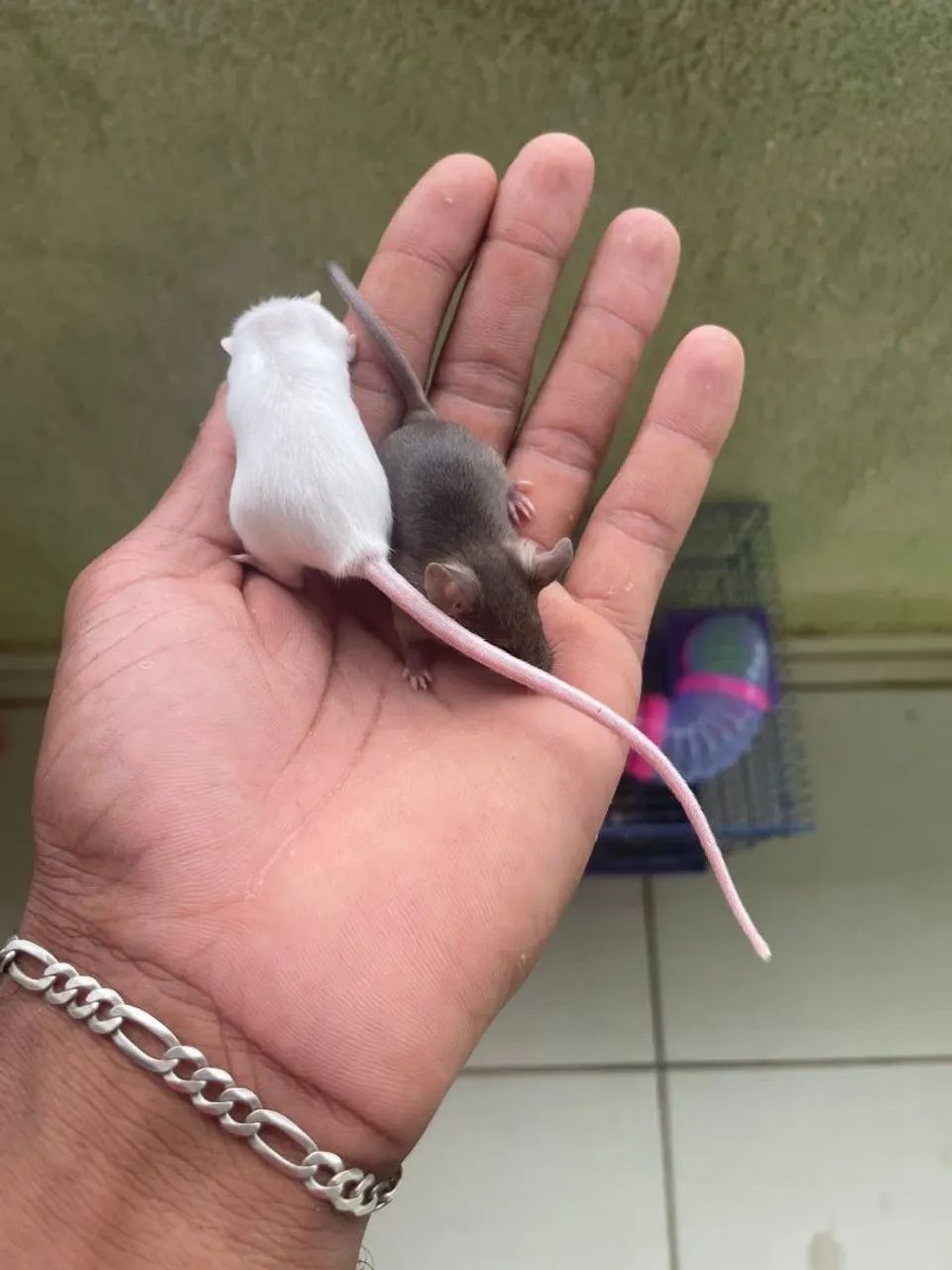 I have a mouse available64961612398977124