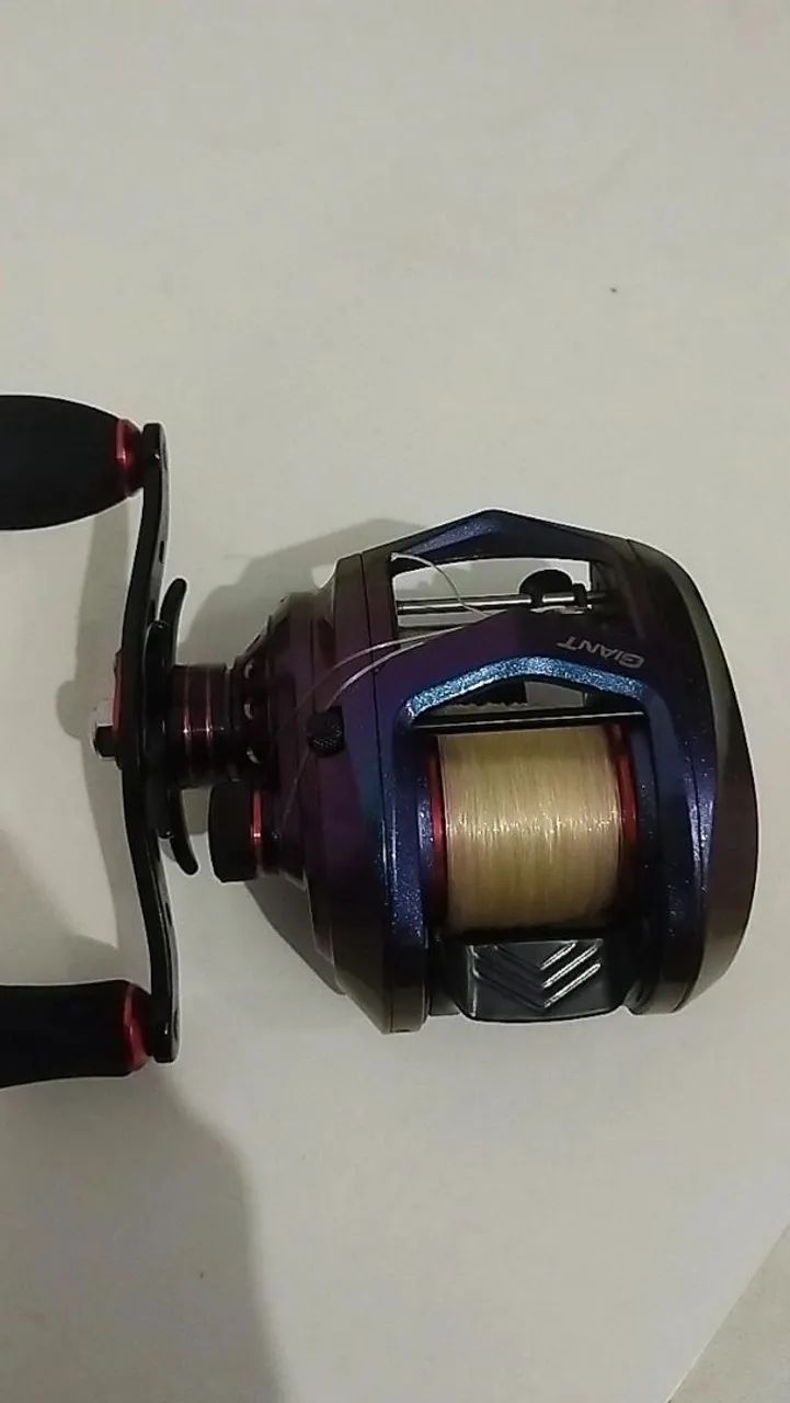 Big Game Baitcasting Reel
