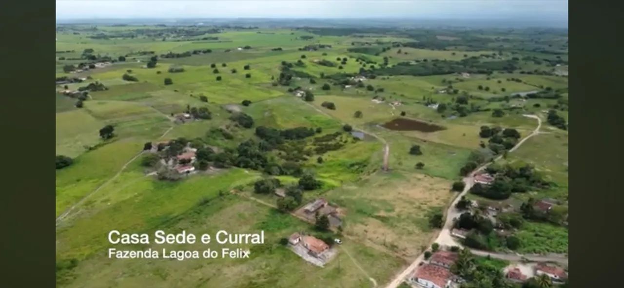 Fazenda 48 hectares 4 açudes região de mari - Foto 4