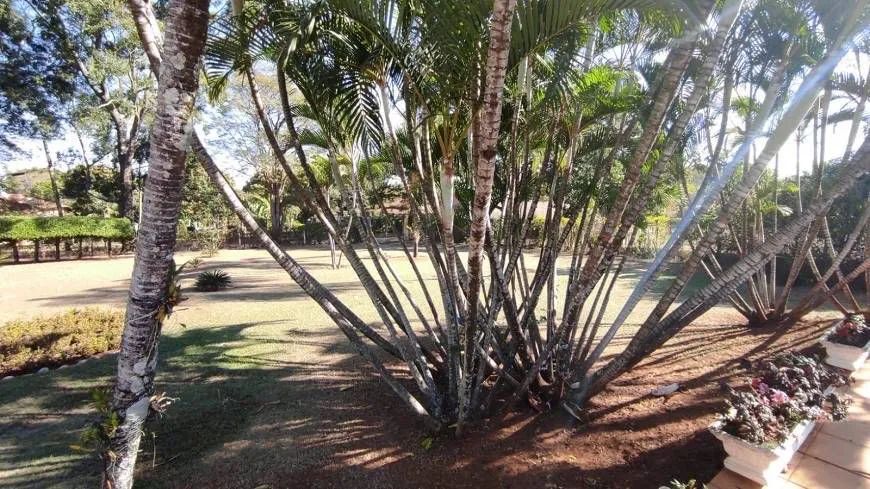 VENDO OU TRANSFIRO DÍVIDA CHÁCARA NA ROSEIRA R$ 115.000 + 312 x R$ 3289.00 - Foto 4