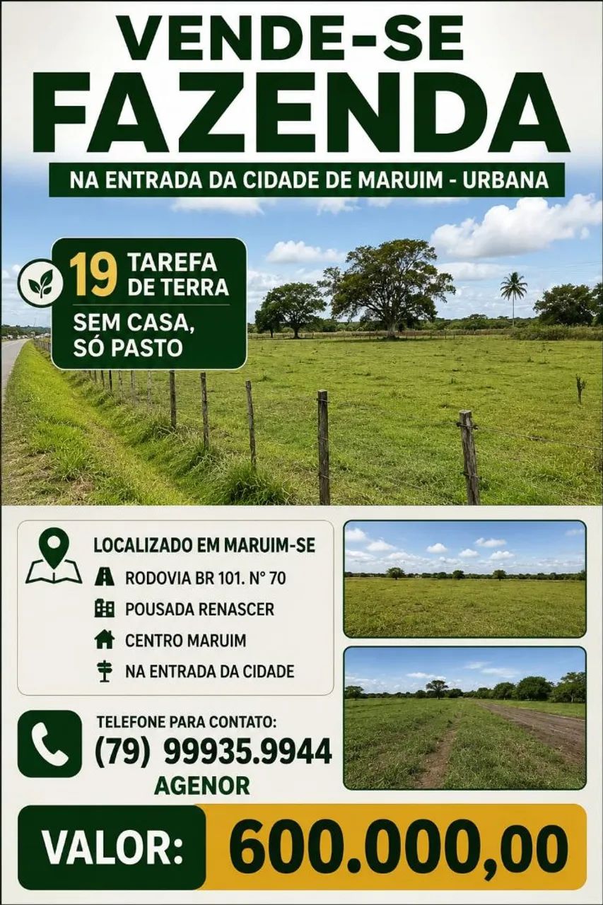 Terreno 