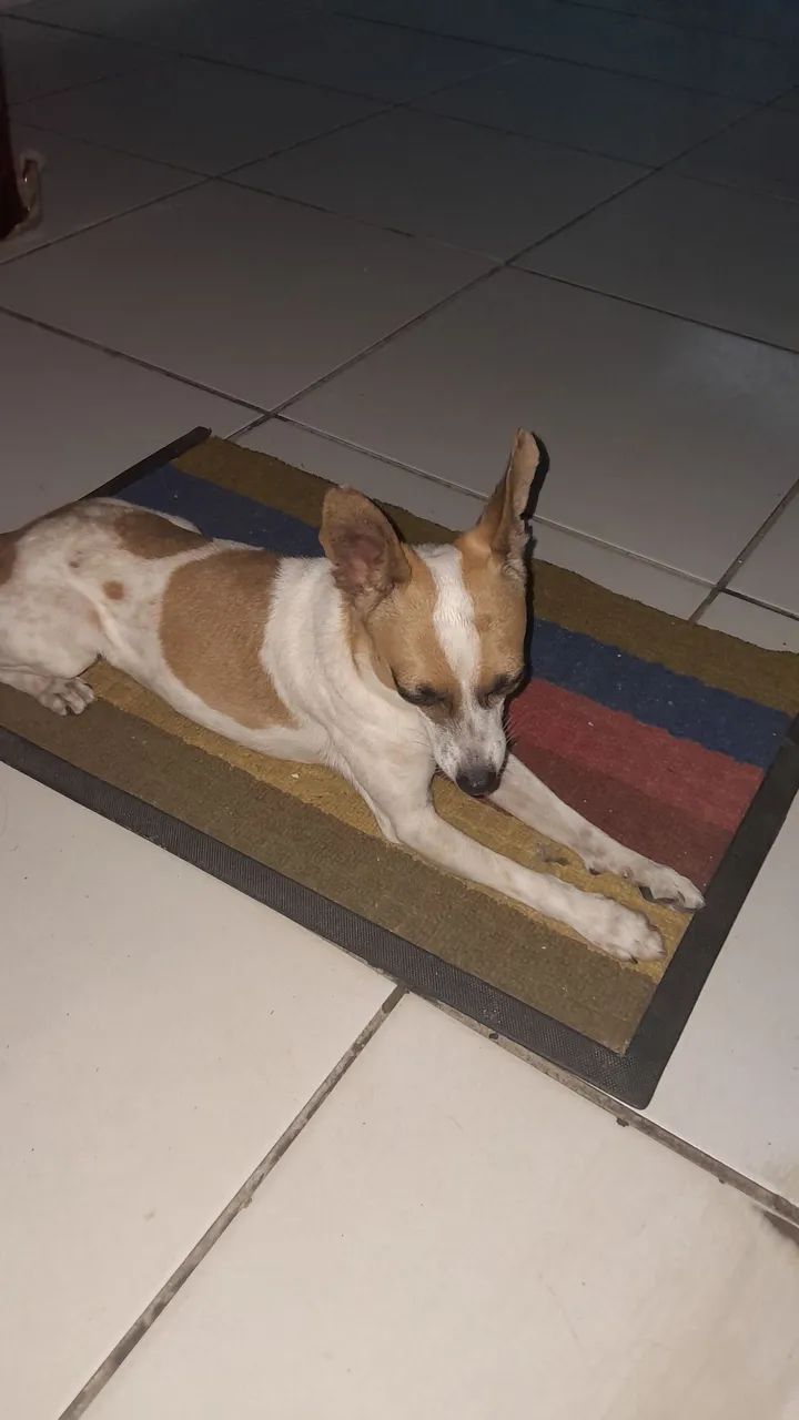 Doação  - Foto 4