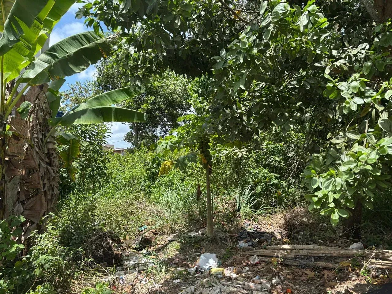 4 LOTES DE TERRENO COM 200M2 CADA - Foto 2