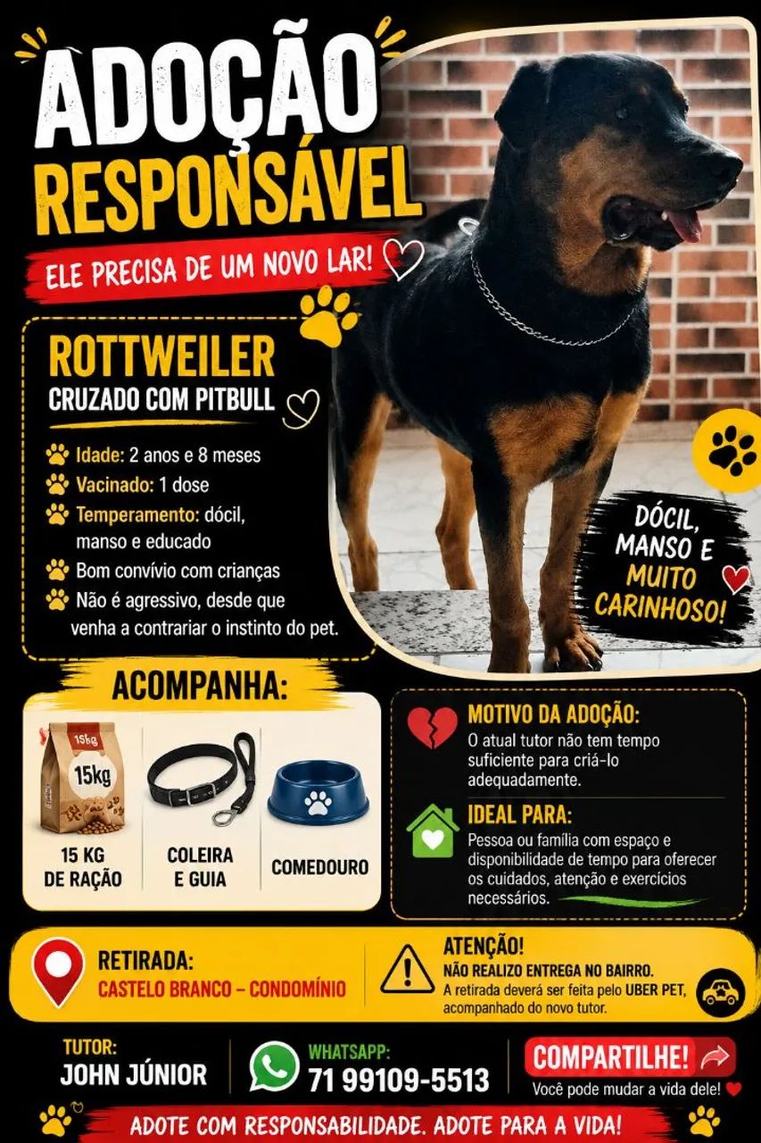 ADOÇÃO ROTVAILE CRUZADO COM PITBULL 